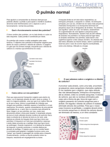 O pulmão normal - European Lung Foundation
