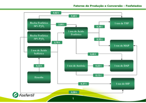 Fatores de Produção e Conversão - Fertilizantes
