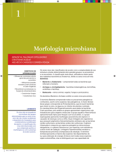 Morfologia microbiana