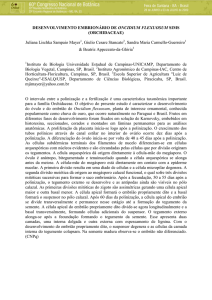 DESENVOLVIMENTO EMBRIONÁRIO DE ONCIDIUM FLEXUOSUM
