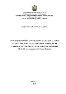 estudo etnobotânico sobre plantas utilizadas como