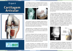 Cartilagem Articular