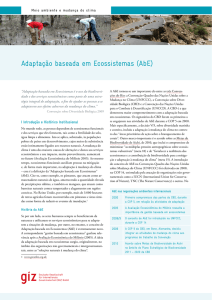 Adaptação baseada em Ecossistemas (AbE)