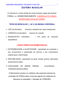 sistema muscular - Site Prof. Bertolo