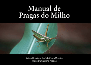 Manual de Pragas do Milho