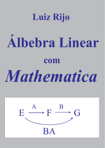 Luiz Rijo Algebra Linear com Matemática