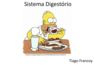 Sistema Digestório Arquivo