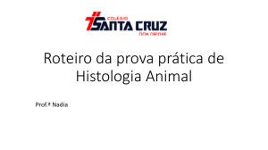 Roteiro da prova prática de Histologia Animal