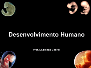 Desenvolvimento Humano I: Da 3ª a 8ª semana