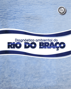 Diagnóstico ambiental do Rio do Braço