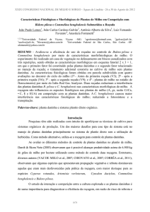 Características Fisiológicas e Morfológicas de Plantas de Milho em