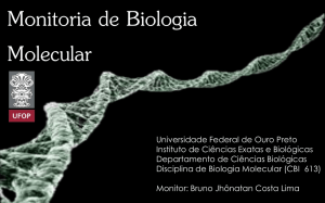 Apresentação do PowerPoint - Monitoria de biologia molecular