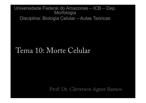 Morte Celular - Prof. Dr. Cleverson Agner Ramos