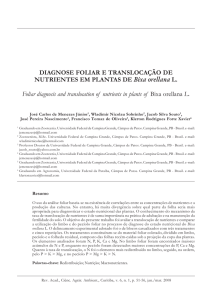 DIAGNOSE FOLIAR E TRANSLOCAÇÃO DE