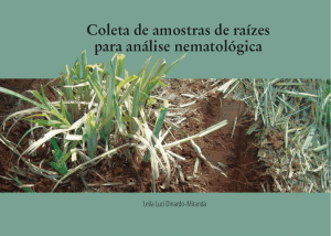 Coleta de amostras de raízes para análise nematológica