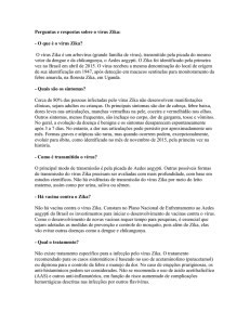 Perguntas e respostas sobre o vírus Zika: