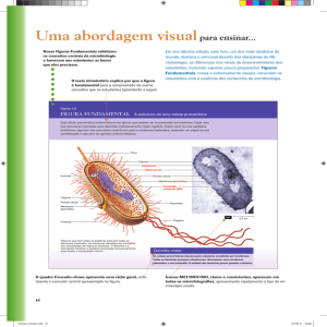 Uma abordagem visualpara ensinar