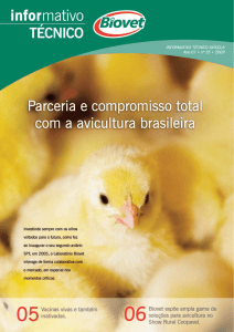 Importância dos ovos SPF para avicultura