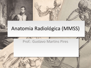 (Aula 03) Anatomia Radiológica (MMSS)
