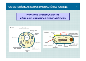 (3- Características Gerais das Bactérias \(Citologia\) 02