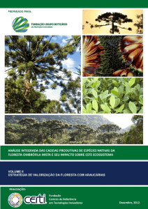 Volume II - Estratégia de valorização da Floresta com Araucárias