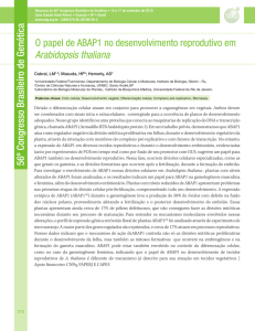 O papel de ABAP1 no desenvolvimento reprodutivo em Arabidopsis