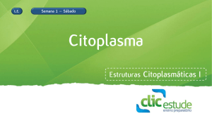 Estruturas Citoplasmáticas I
