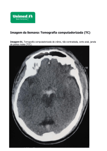 WORD - CASO 89 UFMG - Unimed-BH