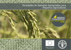 Variedades de Sementes Apropriadas para Pequenos Agricultores