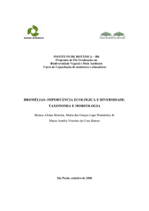 bromélias: importância ecológica e diversidade. taxonomia e