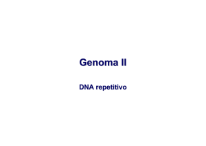 DNA moderadamente repetitivo