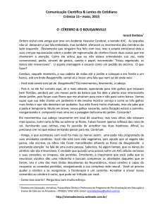 2015_O c&eacute;rebro e o bougainville - Ensino de Ci&ecirc;ncias
