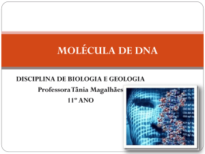 ESTRUTURA DA MOLÉCULA DE DNA