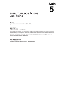 estrutura dos ácidos nucleicos