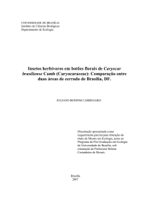 Insetos herbívoros em botões florais de Caryocar brasiliense Camb