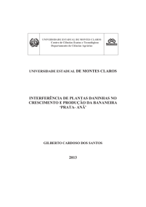 INTERFERÊNCIA DE PLANTAS DANINHAS NO CRESCIMENTO E