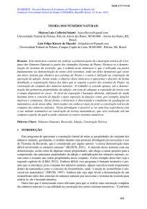 TEORIA DOS NÚMEROS NATURAIS Maicon Luiz Collovini Salatti