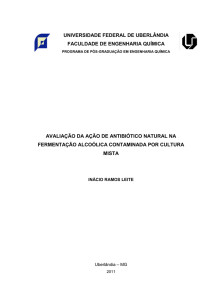 universidade federal de uberlândia faculdade de engenharia