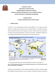 SRAG-Influenza Informe Técnico Situação Epidemiológica