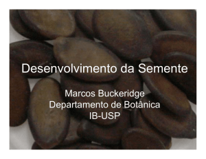 Desenvolvimento da Semente - Departamento de Botânica