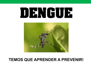 Informativo sobre a Dengue