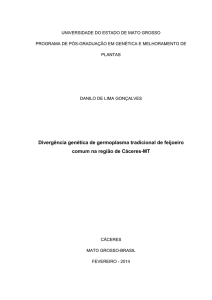 Divergência genética de germoplasma tradicional de