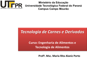 2 aula carnes 1