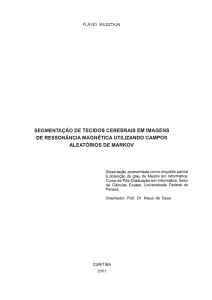 SEGMENTA&Ccedil;&Atilde;O DE TECIDOS CEREBRAIS EM IMAGENS DE