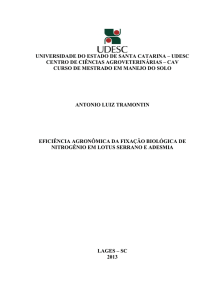 Eficiência agronômica da fixação biológica de nitrogênio em lotus