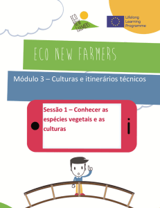 Módulo 3 – Culturas e itinerários técnicos