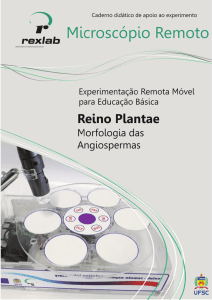 Caderno didático completo - Reino Plantae: Morfolo... - RELLE