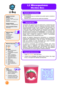 1.2 Microrganismos - e-Bug