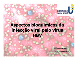 Aspectos bioquímicos da infecção viral pelo vírus HBV