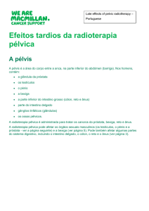 Efeitos tardios da radioterapia pélvica A pélvis